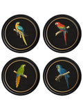 C.1884 Collection of Macaws in Round Frames - Black - Blythe Living