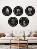 Wildlife Photography - Lion - Round Frame - Blythe Living