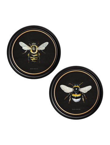 c892 British Bees Round Frame - Dark - Blythe Living