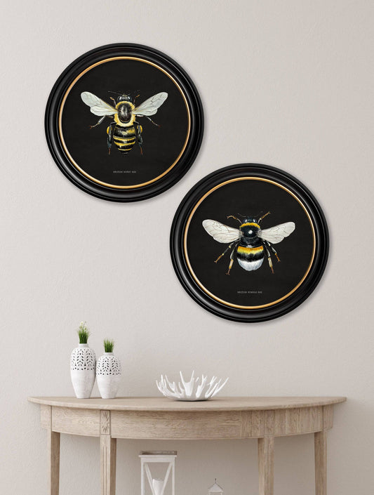 c892 British Bees Round Frame - Dark - Blythe Living