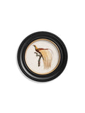 c.1809 Birds of Paradise - Round Frames - Blythe Living