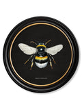 c892 British Bees Round Frame - Dark - Blythe Living