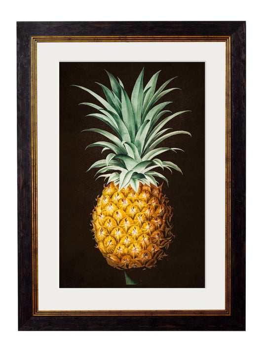 c.1812 Pineapple Study (Black)