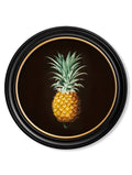 c.1812 Pineapple Study – Vintage Botanical Print in Black Round Frame