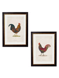 c.1838 Junglefowl – Vintage Hand-Coloured Bird Prints
