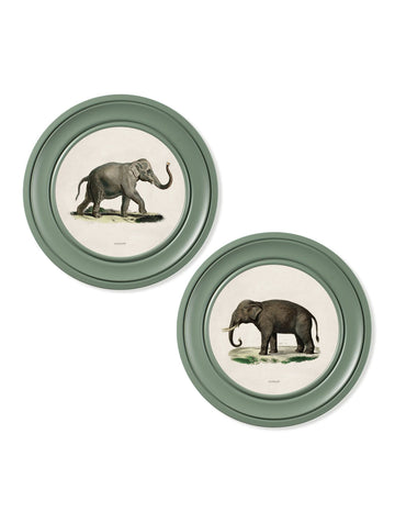 c.1846 Elephants in Round Frame Green