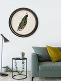 c.1847 Peacock in Round Frame for sale free UK delivery UK
