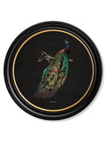 c.1847 Peacocks in Round Frames Dark for sale free UK delivery
