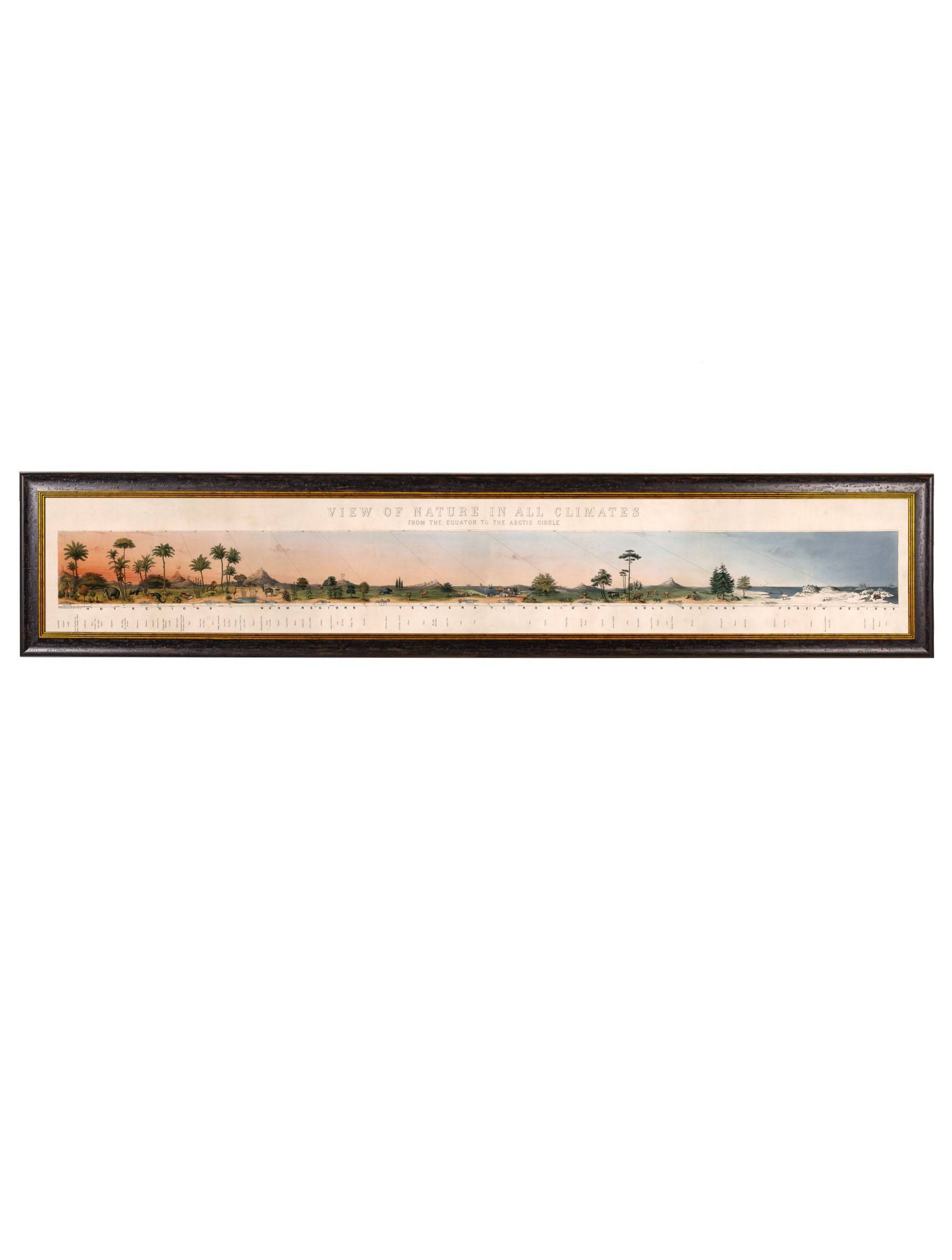 c.1852 View of Nature in all Climates - From the Equator to the Arctic Circle