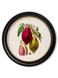 c.1843 Chocolate Plant - Round Frame - Blythe Living