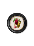 c.1843 Chocolate Plant - Round Frame - Blythe Living