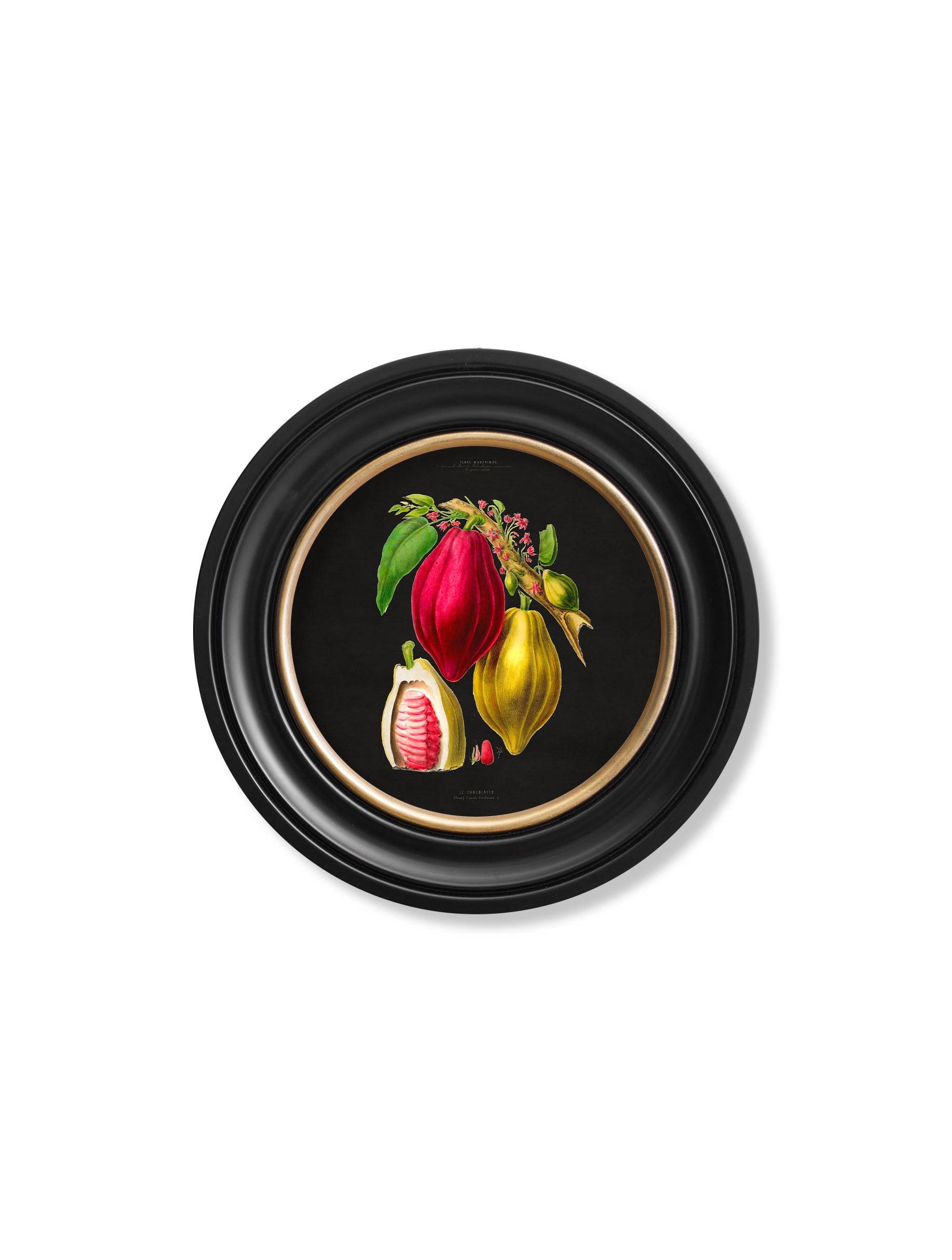 c.1843 Chocolate Plant - Round Frame - Black - Blythe Living