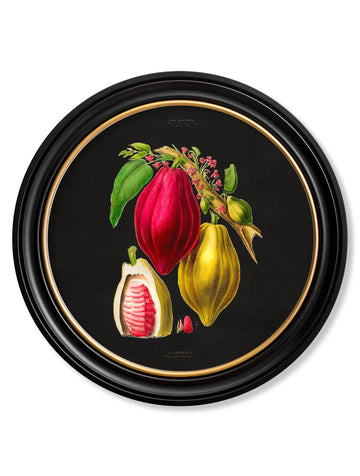 c.1843 Chocolate Plant - Round Frame - Black - Blythe Living