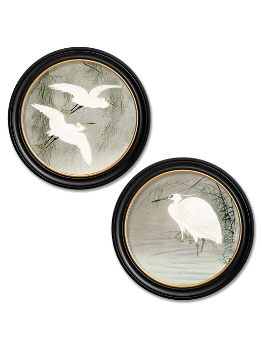 c.1910 Little Egrets - Ohara Koson in Round Frames - Blythe Living