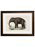 c.1846 Elephants - Blythe Living