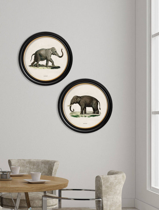 c.1846 Elephants in Round Frame - Blythe Living