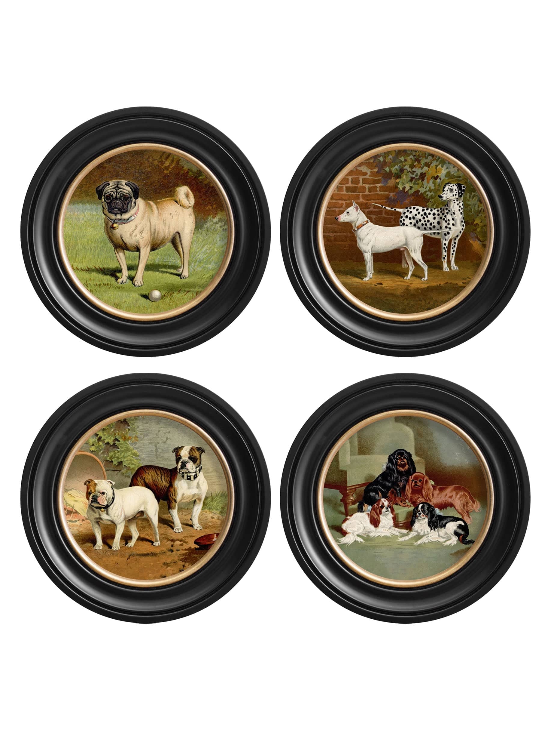 c.1881 Dogs - Round Frame - Blythe Living