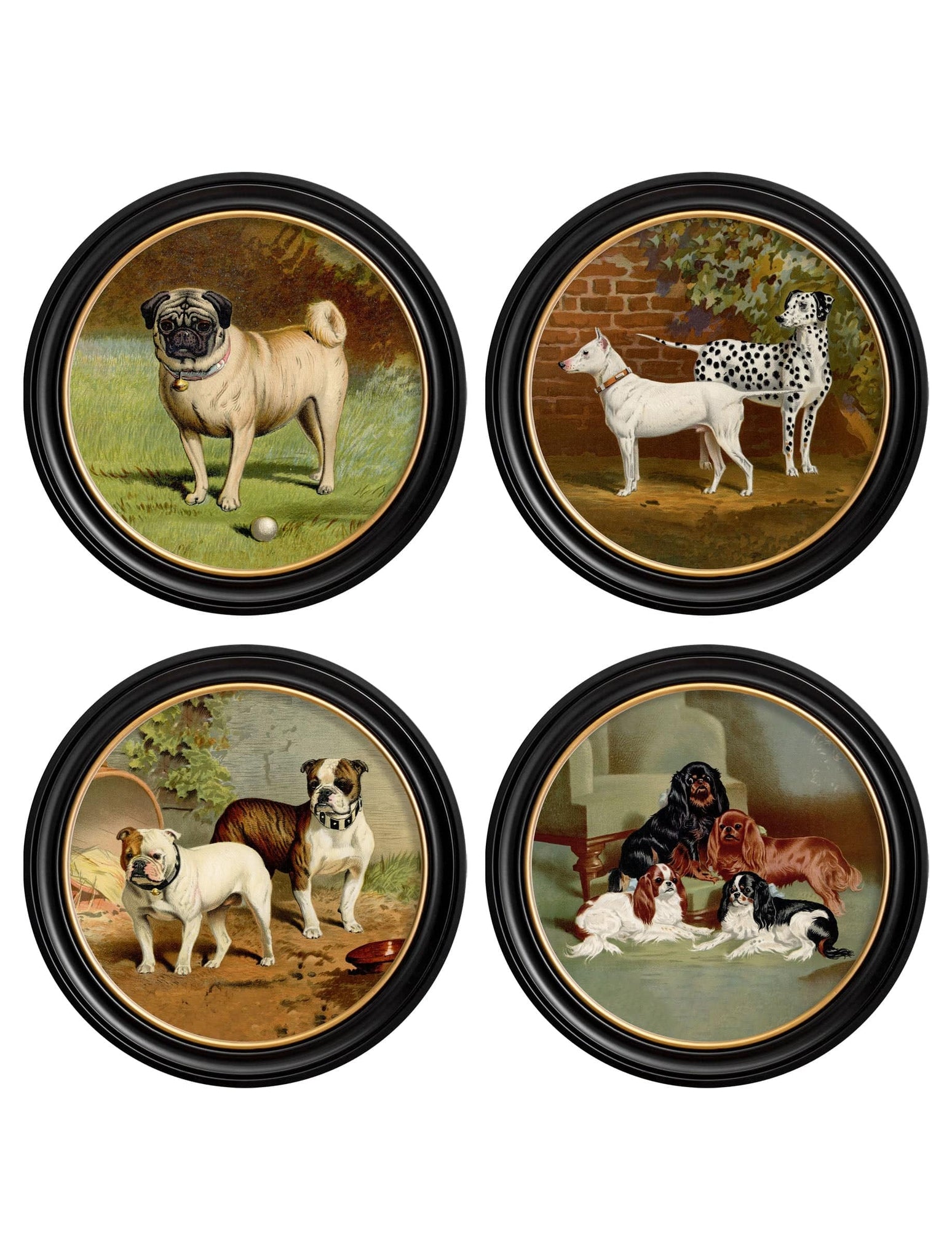 c.1881 Dogs - Round Frame - Blythe Living