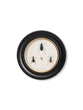 c.1836 Beetle Plates - Round Frame - Blythe Living