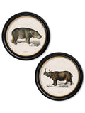 c.1846 Rhino & Hippo - Round Frames - Blythe Living