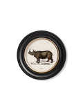 c.1846 Rhino & Hippo - Round Frames - Blythe Living