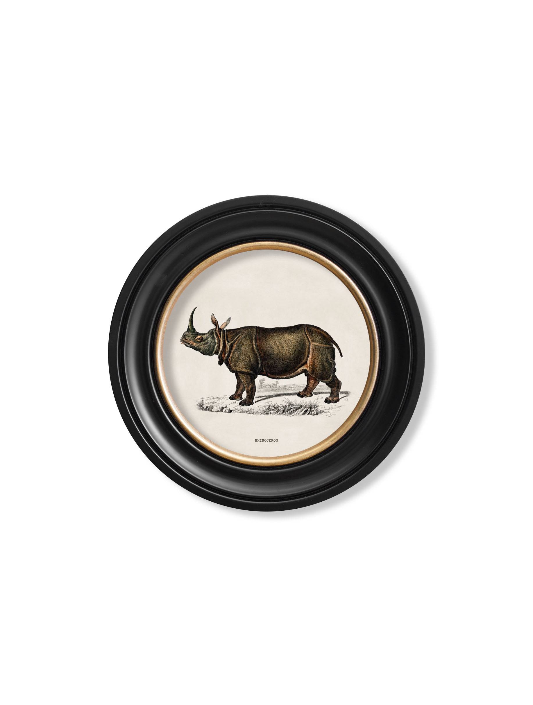 c.1846 Rhino & Hippo - Round Frames - Blythe Living