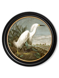 c.1838 Audubon's Herons in Round Frames - Blythe Living