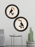 c.1809 Toucans - Round Frame - Blythe Living