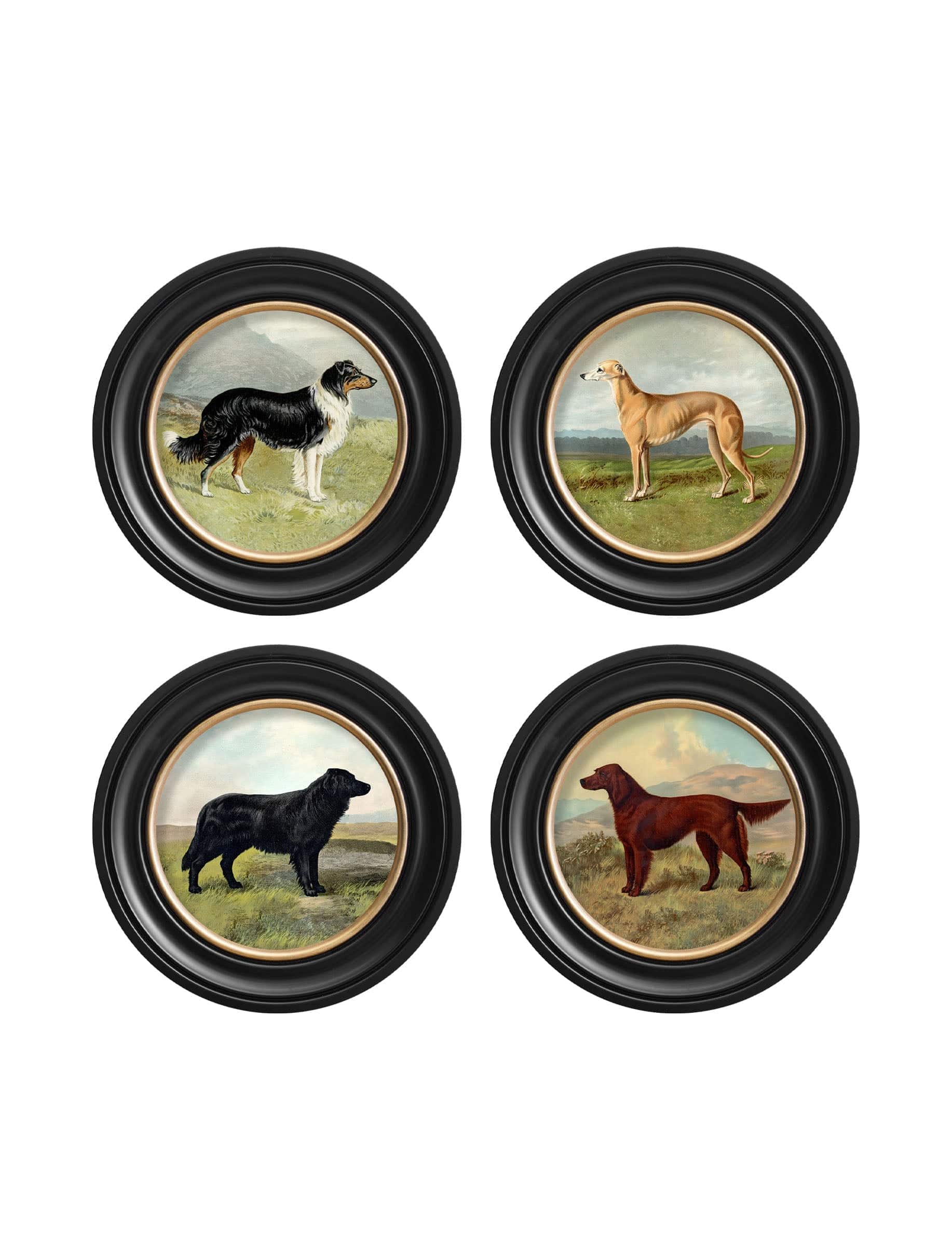 c.1881 Working Dogs - Round Frame - Blythe Living