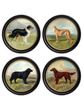 c.1881 Working Dogs - Round Frame - Blythe Living