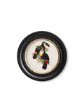 c.1848 Toucans - Round Frames - Blythe Living